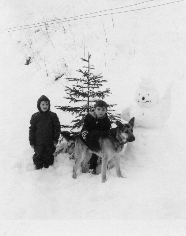 in the snow with tiger