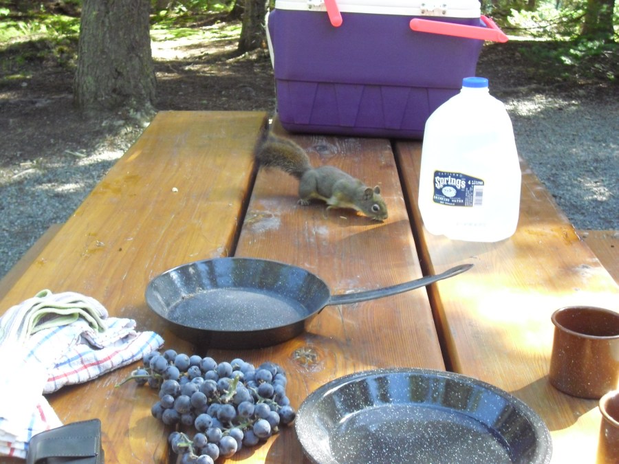 a guest at our picnic table