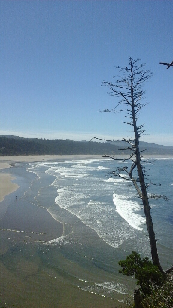 view from cape foul weather I think