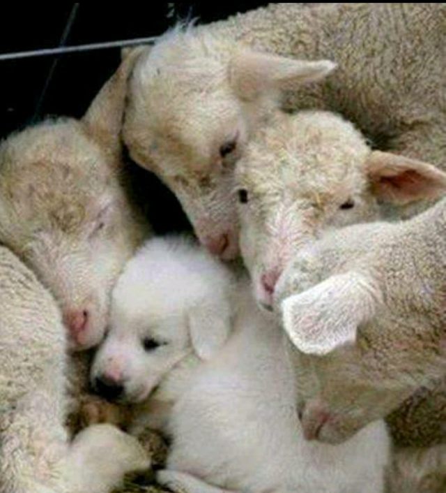 Screenshot_2015-08-03-19-23-43_1.jpg image