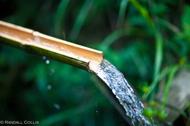 Fishermen of Folklore-8