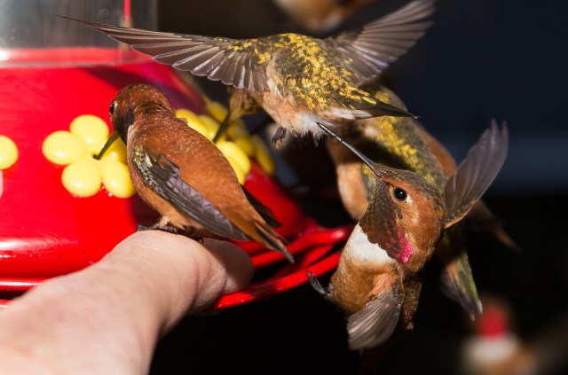 20140422-20140422-IMG_1329