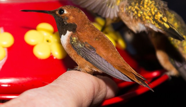 20140422-20140422-IMG_1330-2