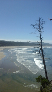 view from cape foul weather I think