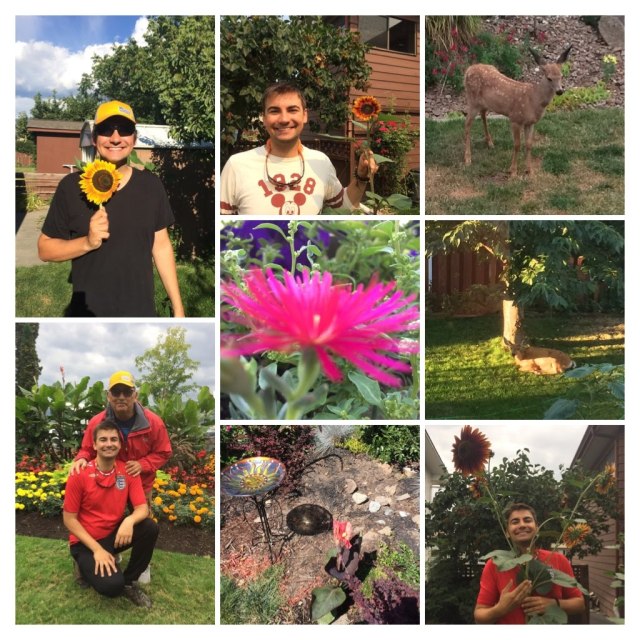 f28b0e23-ad9c-4547-9ce8-e9502db5cd87-collage