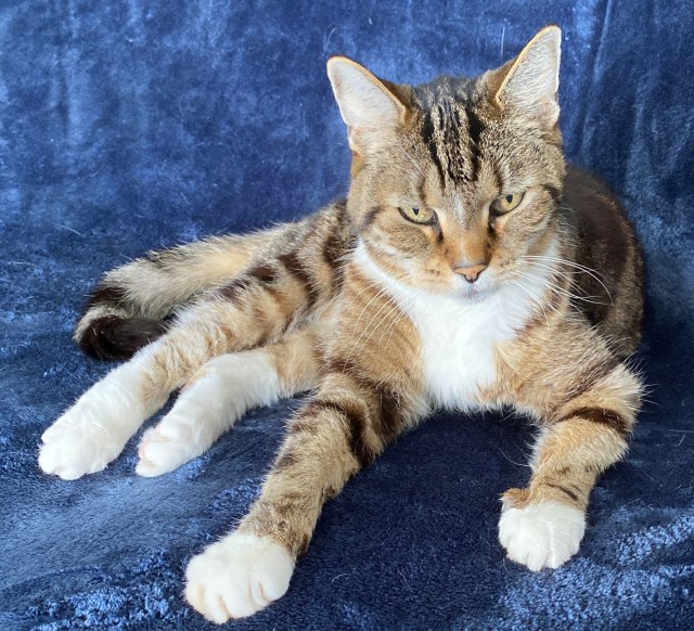 61350845942__b2770227-65b9-4035-a4b7-fb6dc04c32e8